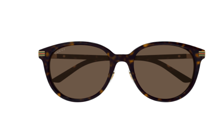 Gucci GG1452SK 002 Havana/Brown Cat Eye Women's Sunglasses