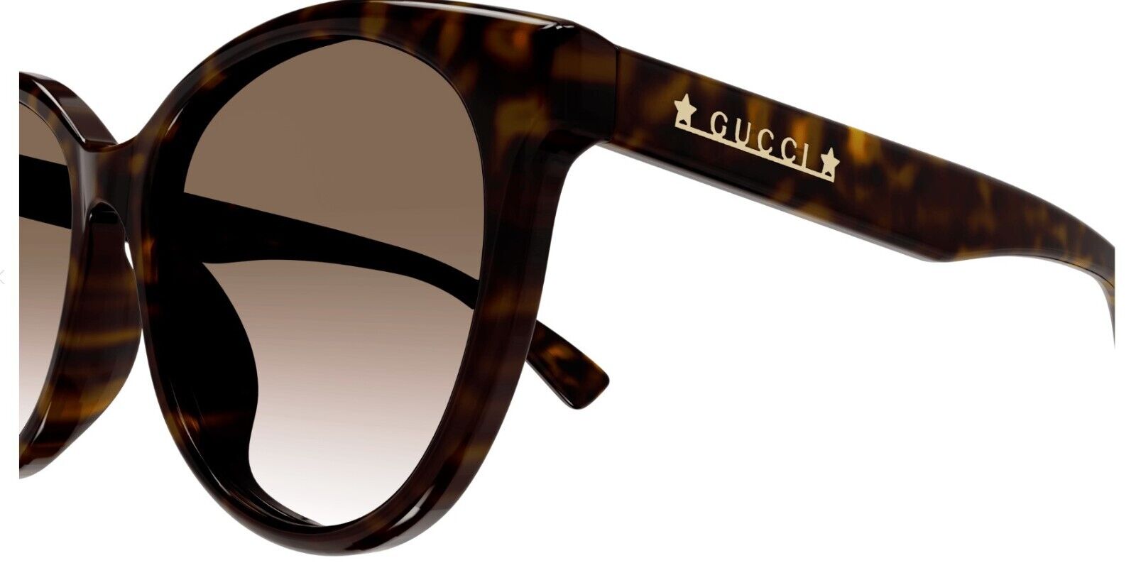 Gucci GG1171SK 003 Havana/Brown Gradient Soft Cat Eye Women's Sunglasses