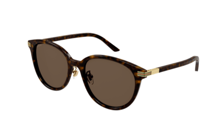 Gucci GG1452SK 002 Havana/Brown Cat Eye Women's Sunglasses