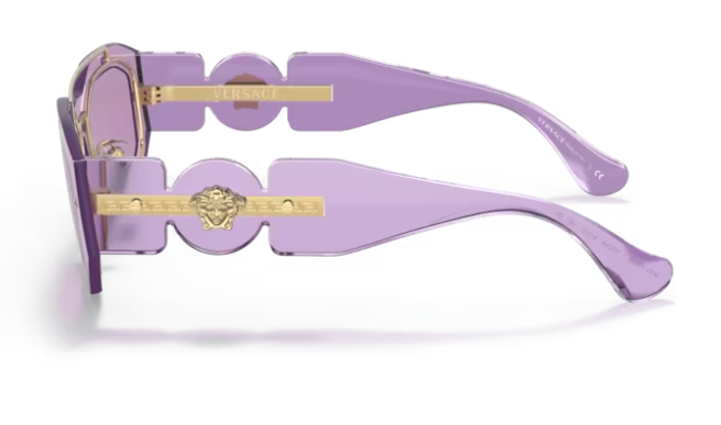 Versace 0VE2235 100284 - Violet Oval Men's Sunglasses
