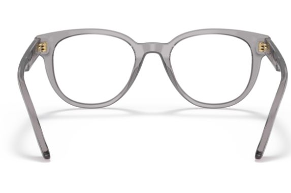 Versace 0VE3317 593 Transparent Grey Men's 49MM Round Eyeglasses